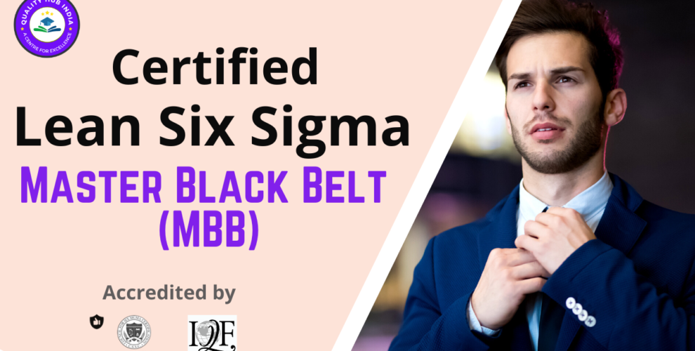 Master Black Belt (MBB)